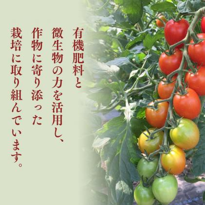 yucarifarmの無添加ミニトマトジュース 1L×6本 【青森県平川市産