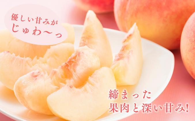 青森県平川市のふるさと納税 目玉品!!【8月下旬～9月中旬発送予定】津軽の桃　川中島白桃約3kg