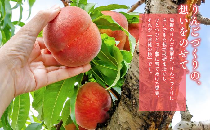 青森県平川市のふるさと納税 目玉品!!【8月下旬～9月中旬発送予定】津軽の桃　川中島白桃約3kg