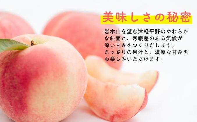 青森県平川市のふるさと納税 目玉品!!【8月下旬～9月中旬発送予定】津軽の桃　川中島白桃約3kg