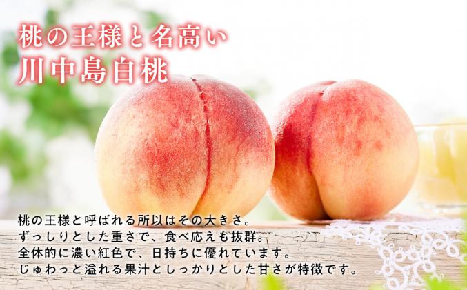 青森県平川市のふるさと納税 目玉品!!【8月下旬～9月中旬発送予定】津軽の桃　川中島白桃約3kg