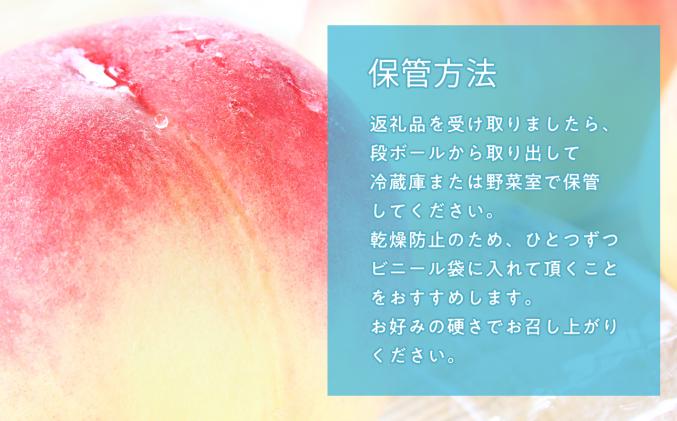 青森県平川市のふるさと納税 目玉品!!【8月下旬～9月中旬発送予定】津軽の桃　川中島白桃約3kg