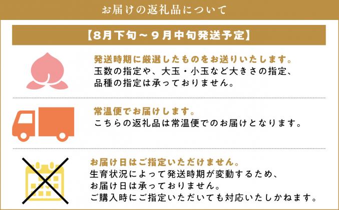 青森県平川市のふるさと納税 目玉品!!【8月下旬～9月中旬発送予定】津軽の桃　川中島白桃約3kg