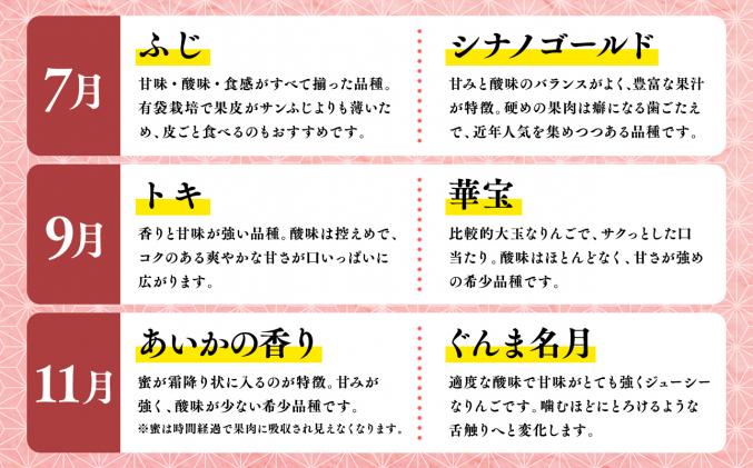 青森県平川市のふるさと納税 【7月発送開始】隔月配送　定期便6回　訳あり　家庭用　甚八りんご　3kg　【青森県 平川市 マルジンサンアップル】1月 3月 5月 7月 9月 11月 青森 青森県産 平川 りんご リンゴ 林檎 くだもの 果物 フルーツ