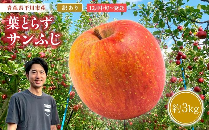 2026年12月中旬〜発送 訳あり 葉取らずサンふじ約3kg(家庭用)[なるみ農園・青森りんご・平川市産・数量限定]