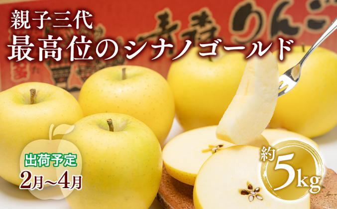 青森県平川市のふるさと納税 【全国ふじコンテスト最高賞受賞・青森りんご・平川市広船産・2月・3月・4月発送】年明け 家庭用　親子三代最高位のシナノゴールド約5kg