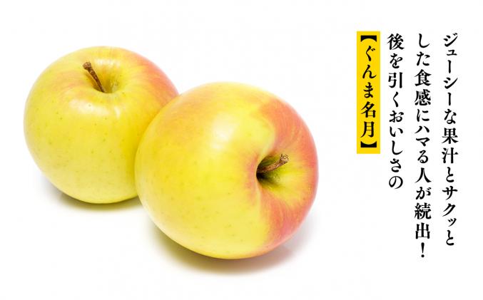 10～11月発送】贈答用 農家直送 樹上熟成りんご シナノスイート
