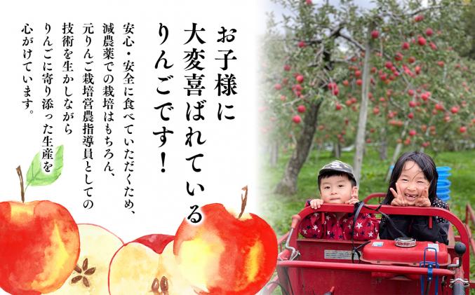 青森県平川市のふるさと納税 目玉品!!【令和8年産先行受付】令和8年11月～発送 訳あり 家庭用サンふじ約3kg【青森県平川市産・青森りんご】