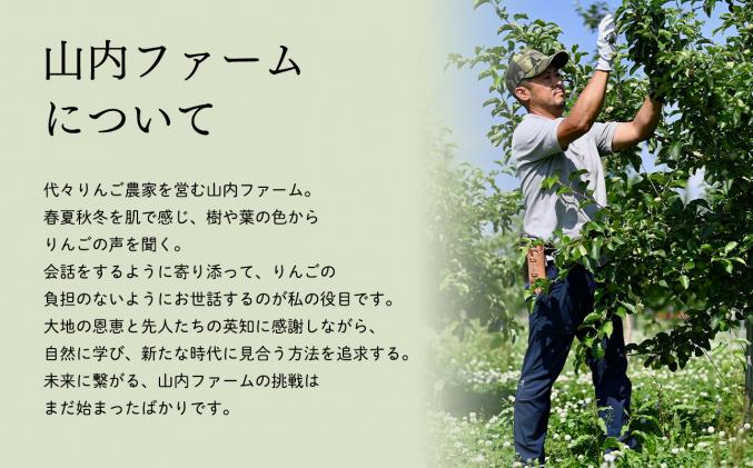 青森県平川市のふるさと納税 目玉品!!【令和8年産先行受付】令和8年11月～発送 訳あり 家庭用サンふじ約3kg【青森県平川市産・青森りんご】