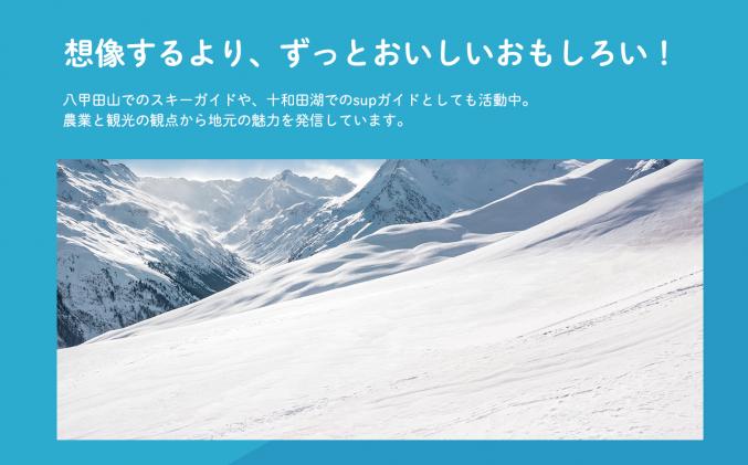 青森県平川市のふるさと納税 1～2月発送 訳あり 家庭用サンふじ約10kg【青森県平川市産・青森りんご】