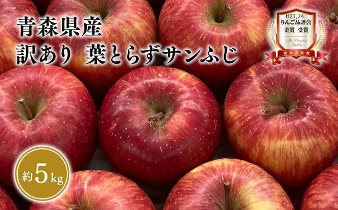 青森県平川市のふるさと納税 1～3月 訳あり 葉とらず サンふじ 家庭用 約5kg 【岩渕農園・平川市産・青森りんご・1月・2月・3月】