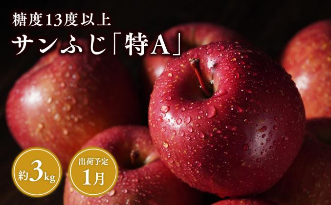 青森県平川市のふるさと納税 1月 サンふじりんご「特A」約3kg 糖度13度以上 【森山商店・平川市・青森りんご・1月】