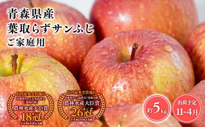 青森県平川市のふるさと納税 2026年産11月～4月発送　【訳あり】家庭用葉とらずサンふじ5kg　【そと川りんご園・11月・12月・1月・2月・3月・4月・青森県産・平川市・りんご・葉とらずサンふじ・5kg・訳あり・家庭用】