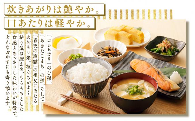 青森県平川市のふるさと納税 セゾン目玉品!!【11月発送】まっしぐら10kg(精米)【株式会社 對馬精米所】