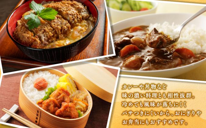 青森県平川市のふるさと納税 セゾン目玉品!!【11月発送】まっしぐら10kg(精米)【株式会社 對馬精米所】