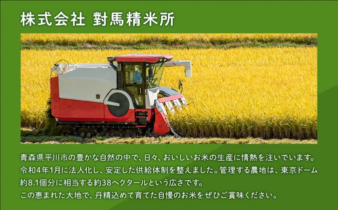 青森県平川市のふるさと納税 セゾン目玉品!!【11月発送】まっしぐら10kg(精米)【株式会社 對馬精米所】