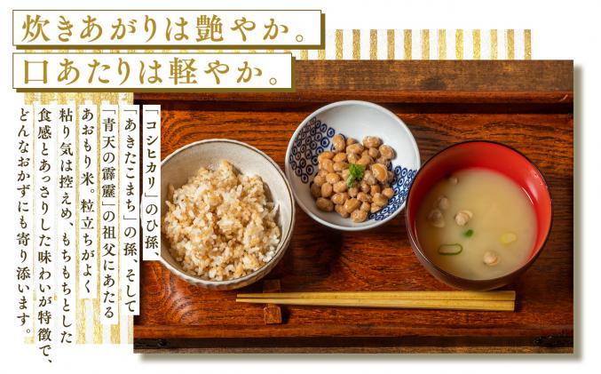 青森県平川市のふるさと納税 セゾン目玉品!!【11月発送】まっしぐら10kg(玄米)【株式会社 對馬精米所】