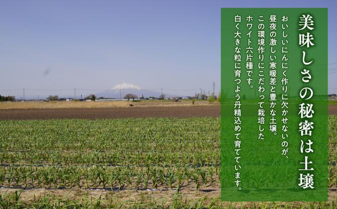 青森県平川市のふるさと納税 【青森県平川市小和森産】平川ホワイト 訳あり(規格外)約1kg