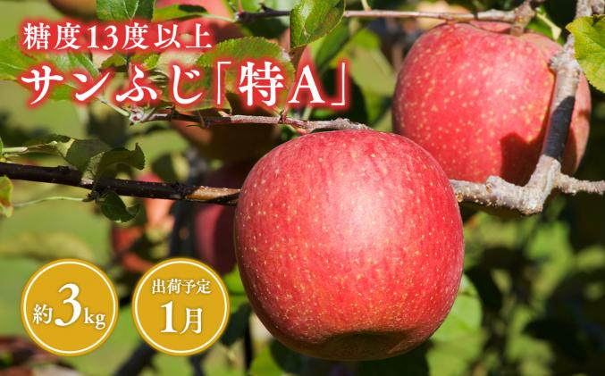 青森県平川市のふるさと納税 1月 サンふじりんご「特A」約3kg 糖度13度以上 【森山商店・平川市・青森りんご・1月】