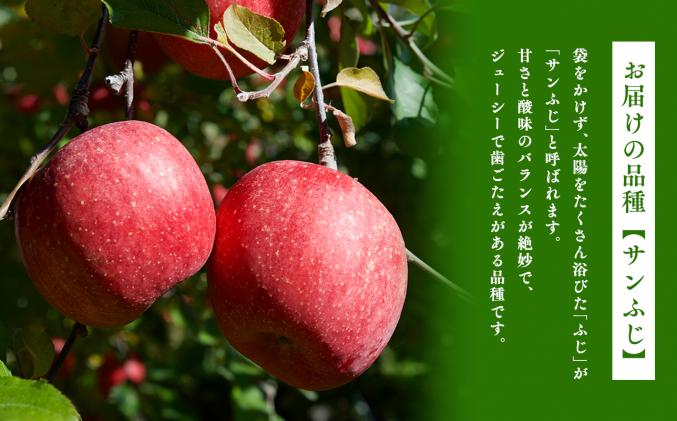 青森県平川市のふるさと納税 1月 サンふじりんご「特A」約3kg 糖度13度以上 【森山商店・平川市・青森りんご・1月】