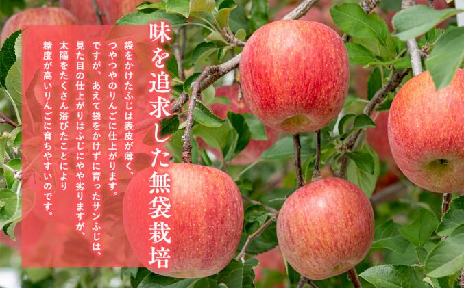 青森県平川市のふるさと納税 1月 サンふじりんご「特A」約3kg 糖度13度以上 【森山商店・平川市・青森りんご・1月】