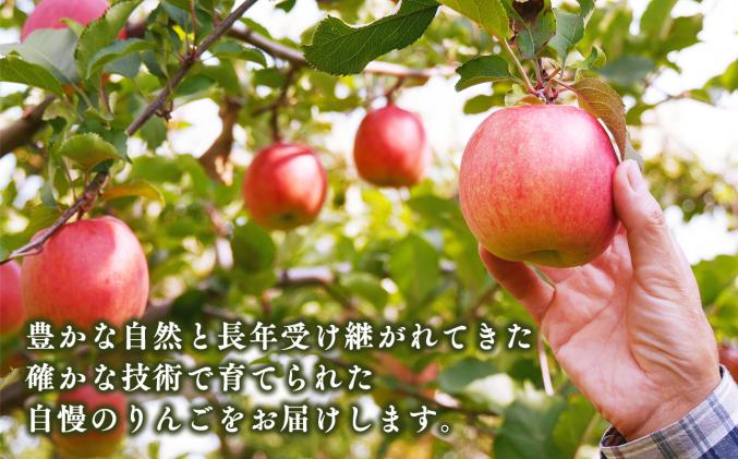 青森県平川市のふるさと納税 2月 サンふじりんご「特A」約3kg 糖度13度以上 【森山商店・平川市産・青森りんご・2月】