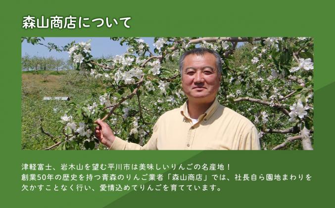 青森県平川市のふるさと納税 2月 サンふじりんご「特A」約3kg 糖度13度以上 【森山商店・平川市産・青森りんご・2月】