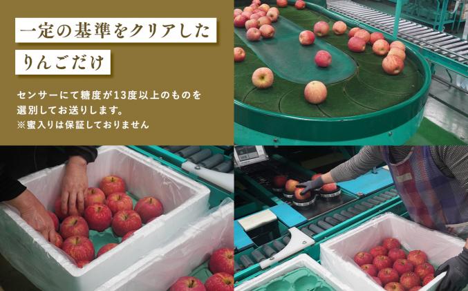 青森県平川市のふるさと納税 12月  サンふじりんご「特A」約5kg 糖度13度以上(14～20玉程度) 【森山商店・平川市産・青森りんご・12月】