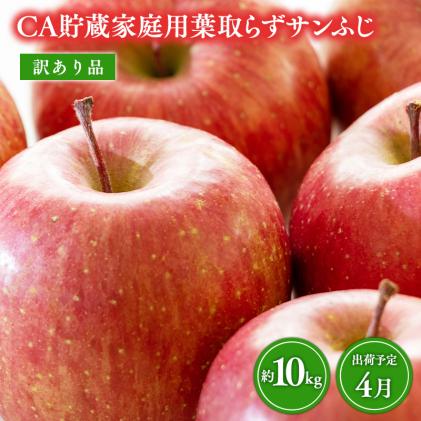 4月 CA貯蔵サンふじ 家庭用葉取らずサンふじりんご 約10kg