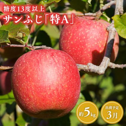 青森県平川市のふるさと納税 3月  サンふじりんご「特A」約5kg 糖度13度以上(14～20玉程度) 【森山商店・平川市産・青森りんご・3月】