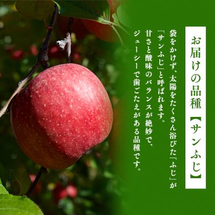 青森県平川市のふるさと納税 3月  サンふじりんご「特A」約5kg 糖度13度以上(14～20玉程度) 【森山商店・平川市産・青森りんご・3月】