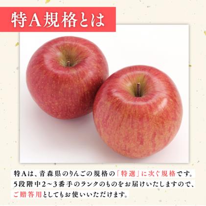 青森県平川市のふるさと納税 3月  サンふじりんご「特A」約5kg 糖度13度以上(14～20玉程度) 【森山商店・平川市産・青森りんご・3月】