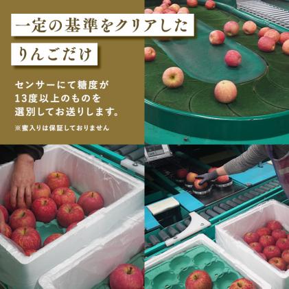 青森県平川市のふるさと納税 3月  サンふじりんご「特A」約5kg 糖度13度以上(14～20玉程度) 【森山商店・平川市産・青森りんご・3月】