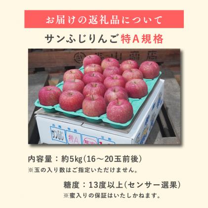 青森県平川市のふるさと納税 3月  サンふじりんご「特A」約5kg 糖度13度以上(14～20玉程度) 【森山商店・平川市産・青森りんご・3月】