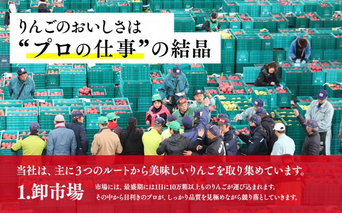 青森県平川市のふるさと納税 【5～6月発送】青森県産 特選 甚八りんご 王林 5kg クール便【マルジンサンアップル】青森 青森県産 平川 りんご リンゴ 林檎 くだもの 果物 フルーツ