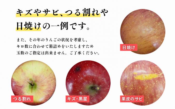 青森県平川市のふるさと納税 12月発送 目玉品!!　訳あり 家庭用サンふじ約3kg【山内ファーム・青森県平川市産・青森りんご】