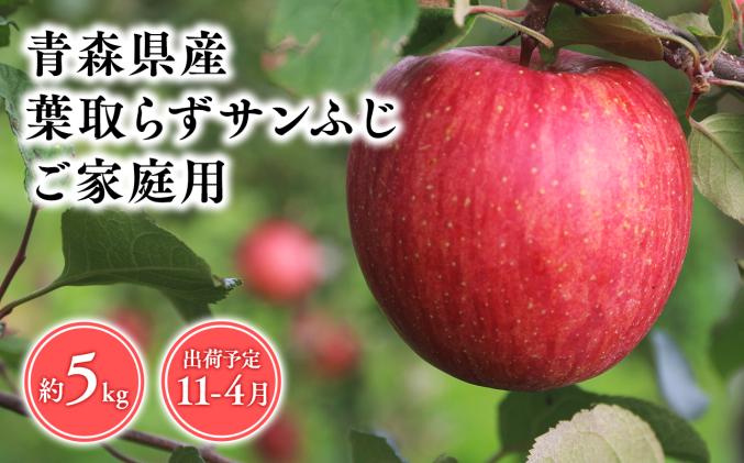 2026年産11月～4月発送　【訳あり】家庭用葉とらずサンふじ5kg　【そと川りんご園・11月・12月・1月・2月・3月・4月・青森県産・平川市・りんご・葉とらずサンふじ・5kg・訳あり・家庭用】