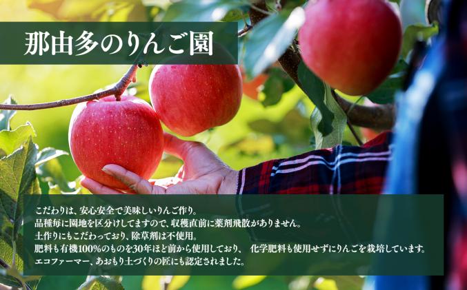 青森県平川市のふるさと納税 年内発送 【訳あり】家庭用ぐんま名月約3㎏(糖度証明書付き) 【那由多のりんご園・平川市産】