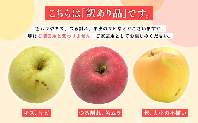 青森県平川市のふるさと納税 年内発送 【訳あり】家庭用 シナノスイート 約3kg【那由多のりんご園・平川市産】