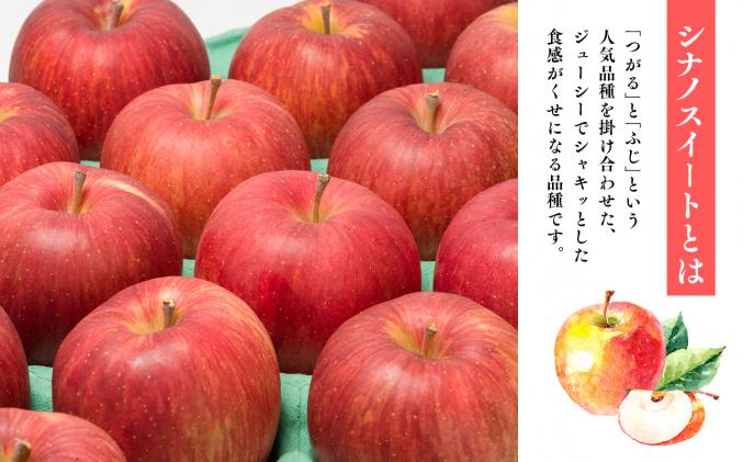 青森県平川市のふるさと納税 年内発送 贈答用シナノスイート約3kg(糖度証明書付き)　【那由多のりんご園・平川市産】