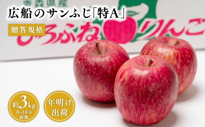 年明け 贈答規格 広船のサンふじ 約3kg「特A」[広船アップルクラブ・平川市広船産・青森りんご・1月・2月]