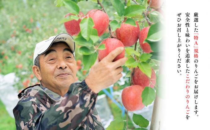 青森県平川市のふるさと納税 年明け 贈答規格 広船のサンふじ 約3kg「特A」【広船アップルクラブ・平川市広船産・青森りんご・1月・2月】