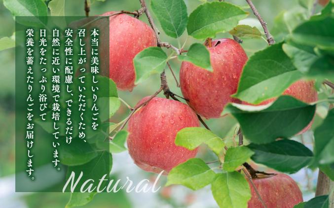 青森県平川市のふるさと納税 年明け 贈答規格 広船のサンふじ 約3kg「特A」【広船アップルクラブ・平川市広船産・青森りんご・1月・2月】