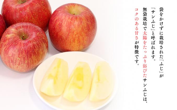 青森県平川市のふるさと納税 年明け 贈答規格 広船のサンふじ 約3kg「特A」【広船アップルクラブ・平川市広船産・青森りんご・1月・2月】