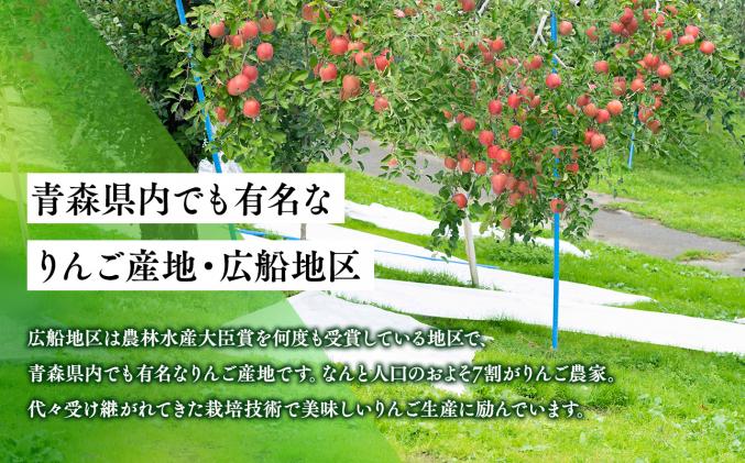 青森県平川市のふるさと納税 年明け 贈答規格 広船のサンふじ 約3kg「特A」【広船アップルクラブ・平川市広船産・青森りんご・1月・2月】