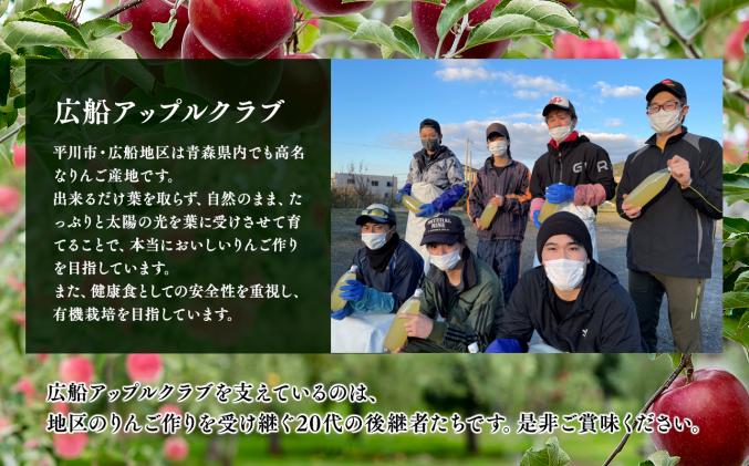 青森県平川市のふるさと納税 年明け 贈答規格 広船のサンふじ 約3kg「特A」【広船アップルクラブ・平川市広船産・青森りんご・1月・2月】