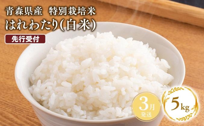 ≪令和8年産 先行予約≫3月上旬よりお届け! 　特別栽培米 はれわたり白米5kg【青森県 平川市】先行予約 米 お米 精米 青森県産 産地直送 おにぎり 朝ご飯 冷めてもおいしい ご飯  コメ こめ 白米 ごはん ブランド米 特A 特A米 お取り寄せ グルメ