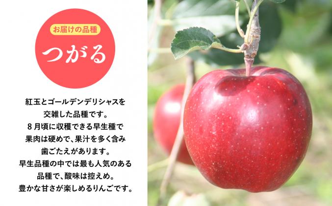2025年産9月発送 【訳あり】家庭用つがる10kg 【そと川りんご園・9月