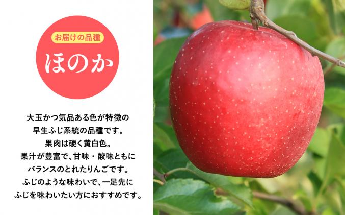 2025年産10月発送 贈答用ほのか3kg 【そと川りんご園・9月・青森県産