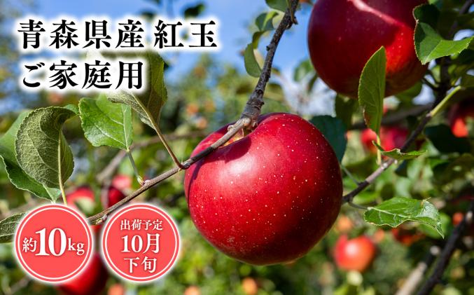りんご ふるさと納税 1〜2月発送 訳あり 家庭用 甚八りんご葉とらず
